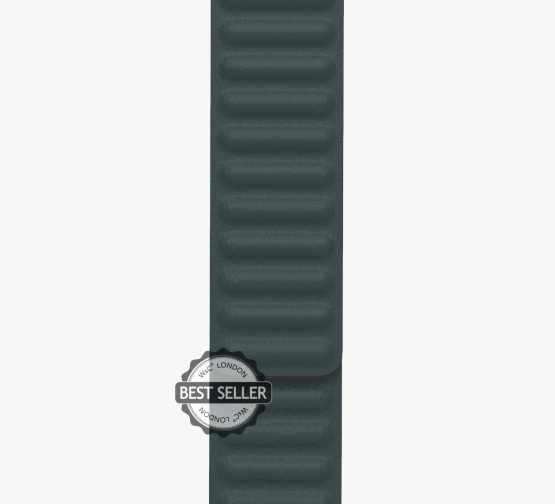 GREEN LEATHER LINK ZOOM